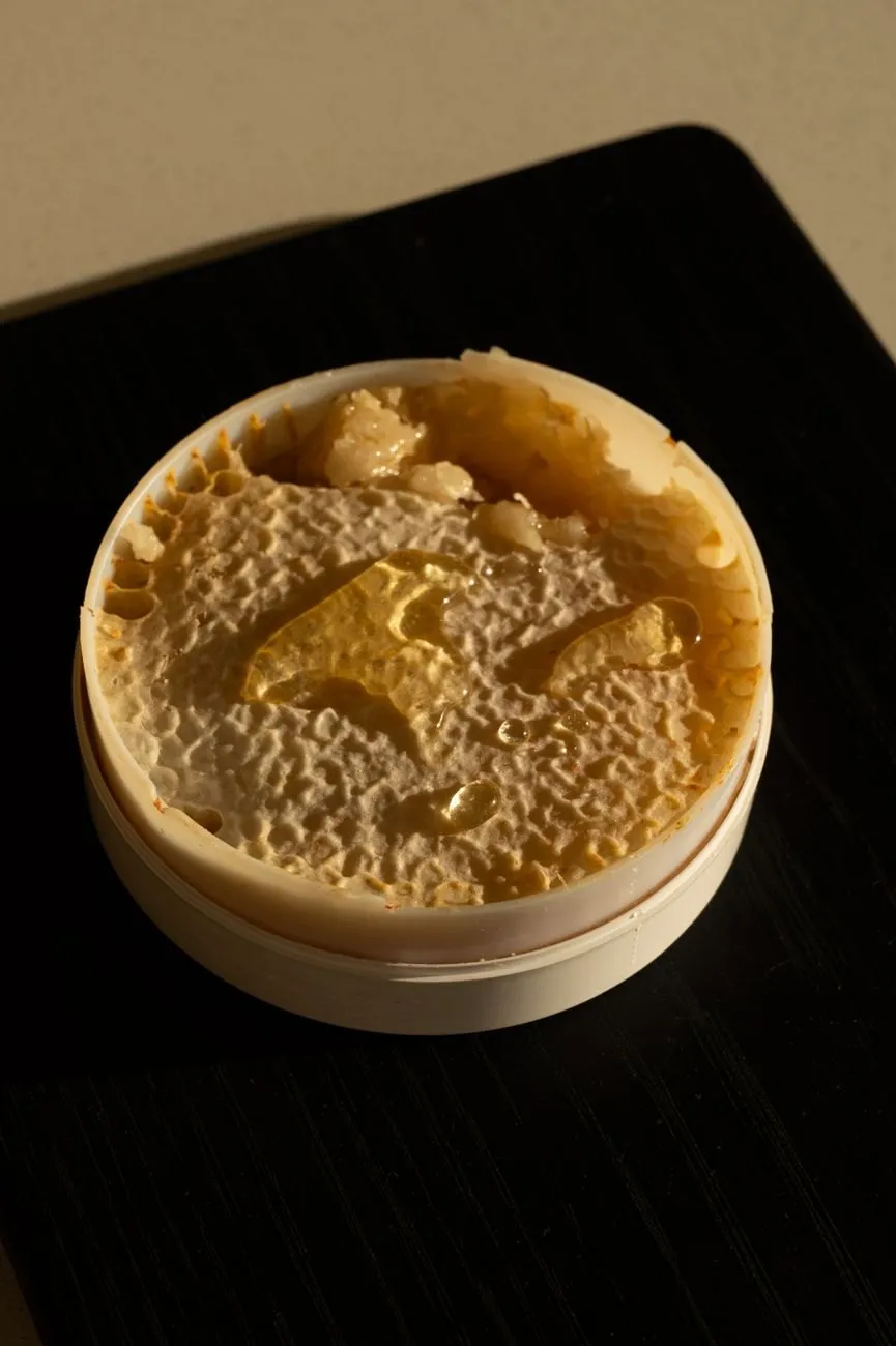 A round wooden box packed with a disc of capped honeycomb